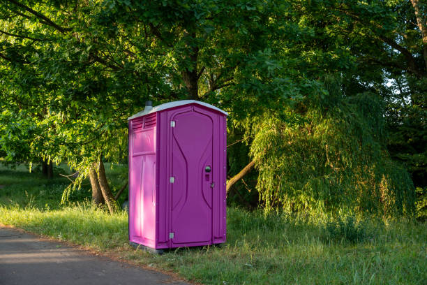 Best Affordable portable toilet rental  in De Soto, IL