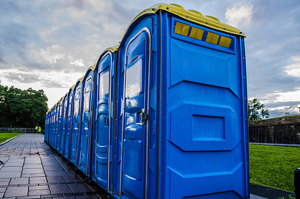 Best Sanitation services for porta potties  in De Soto, IL